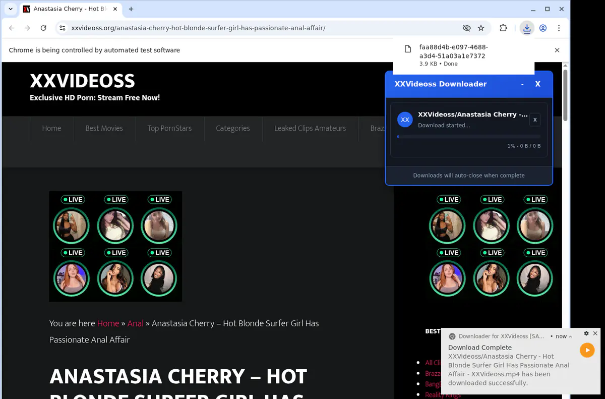 Xxvideoss Video Downloader screenshot 2