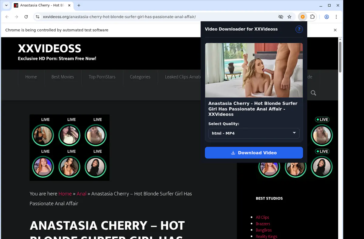 Xxvideoss Video Downloader screenshot 3